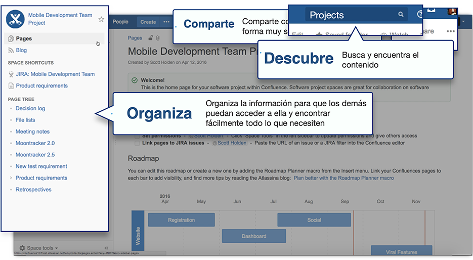 Organiza el trabajo de tu equipo remoto